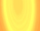 hfte arthrose